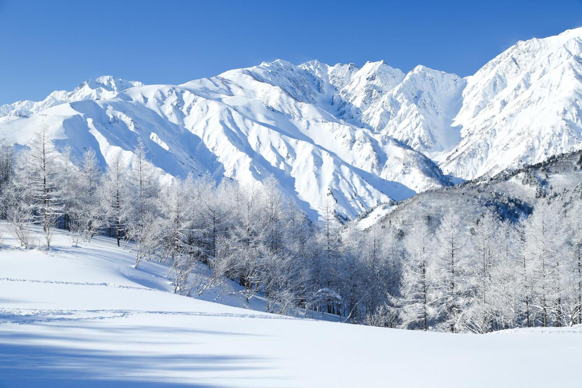 Hakuba Hatago Maruhachi Dış mekan fotoğraf