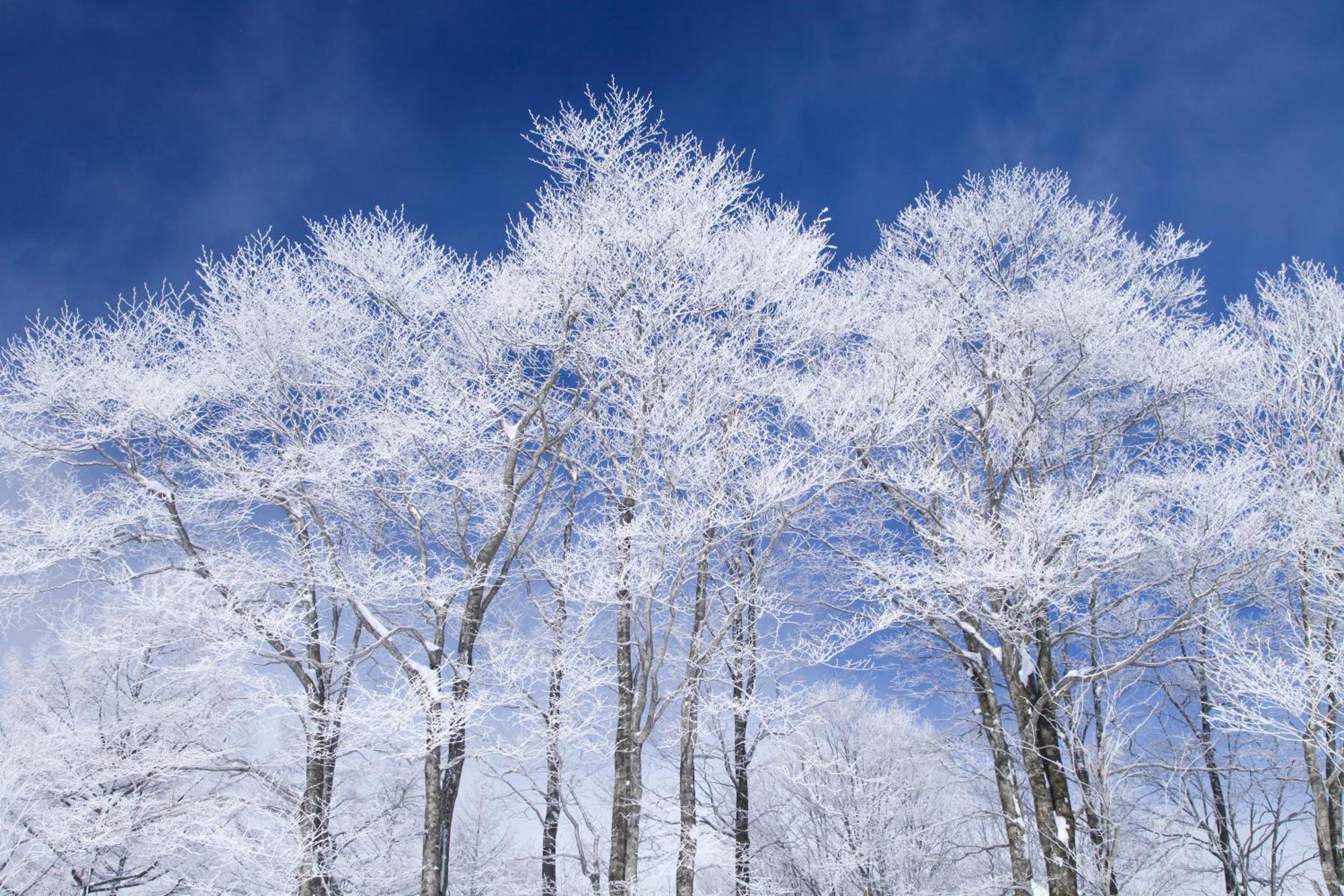 Hakuba Hatago Maruhachi Dış mekan fotoğraf